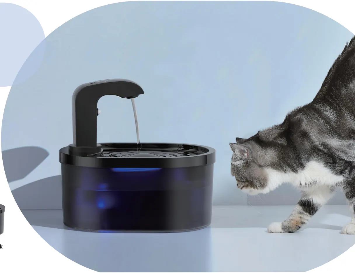 Black oval cordless plastic cat water fountain beside a cat