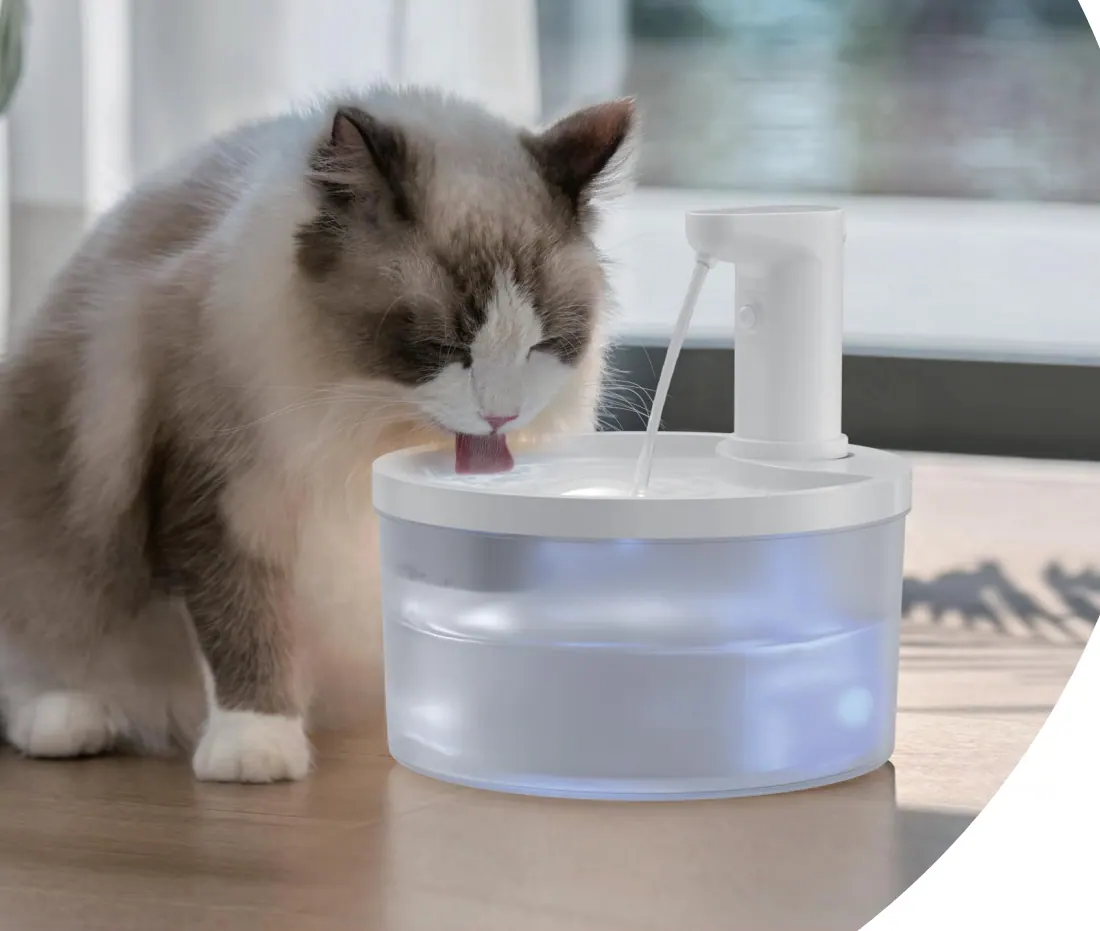 White round cordless plastic fountain in a living room with a cat