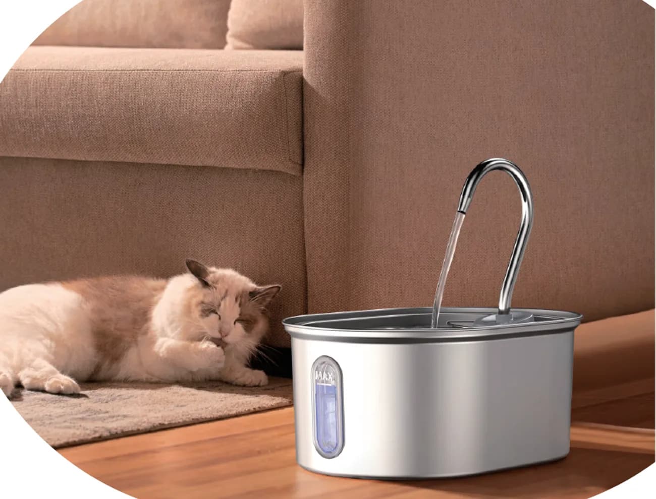 Cat beside an oval 304 stainless steel pet water fountain