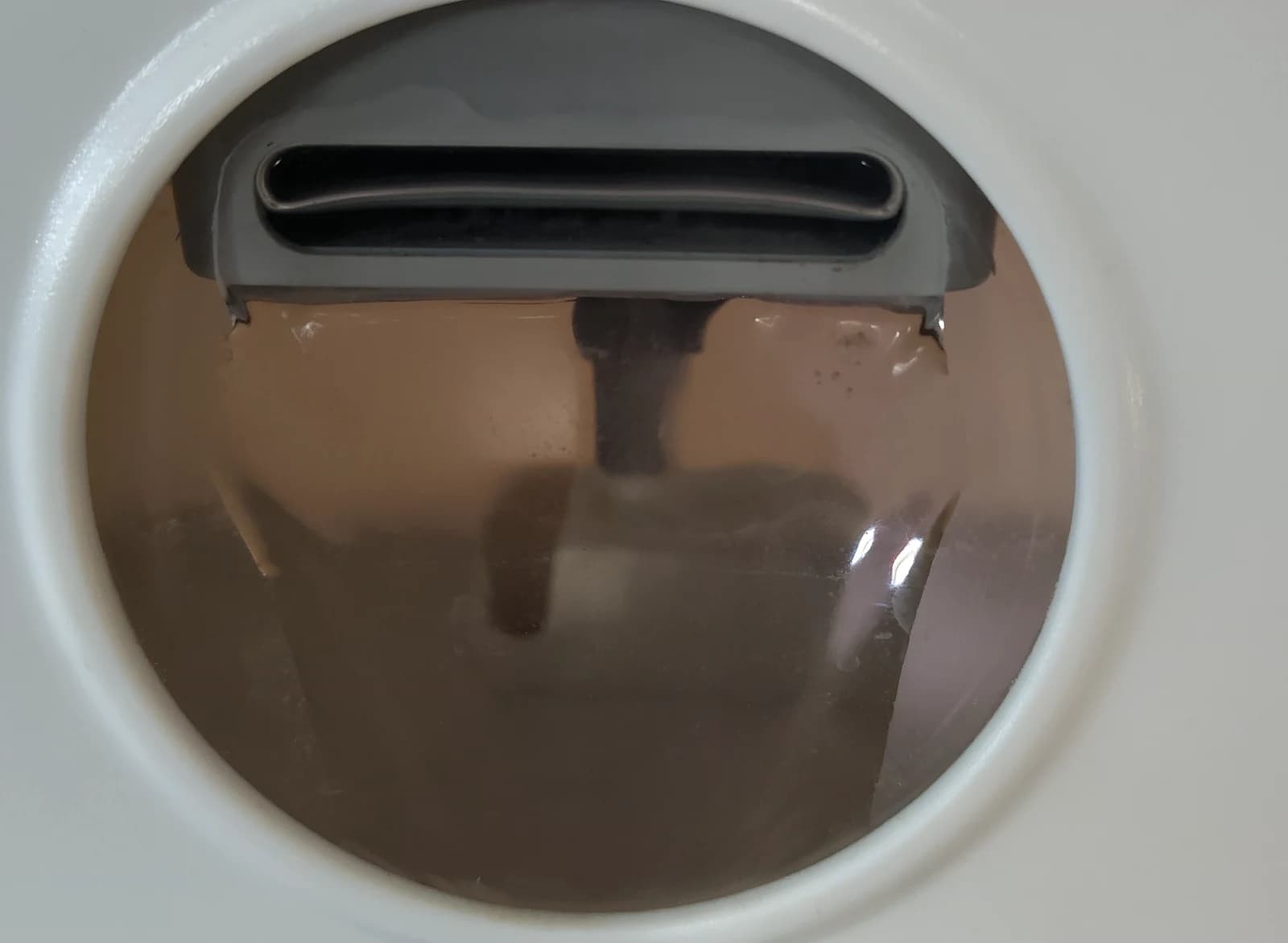 Close view of the CWF-W1 front water-level viewing window