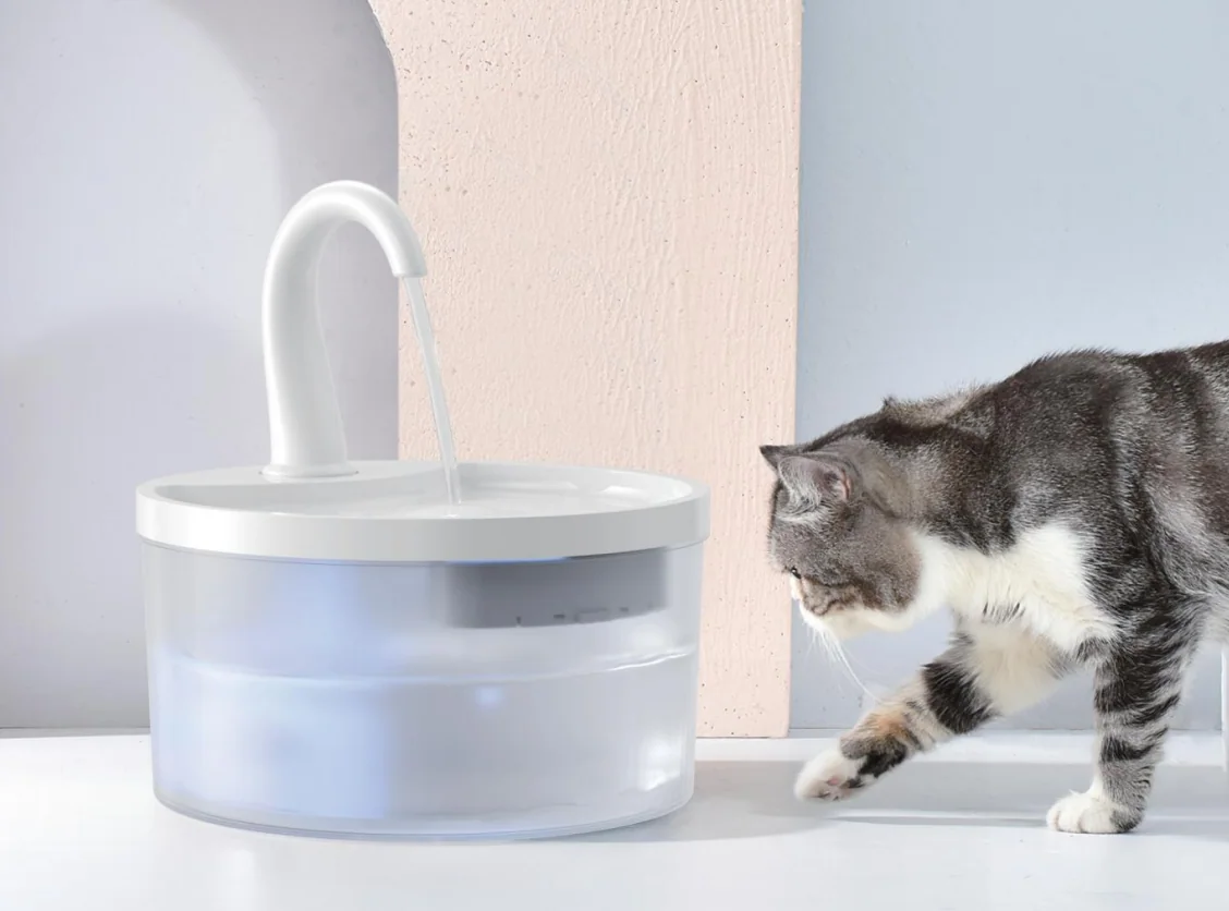 Cat approaching a running Fountelio water fountain with a visible stream